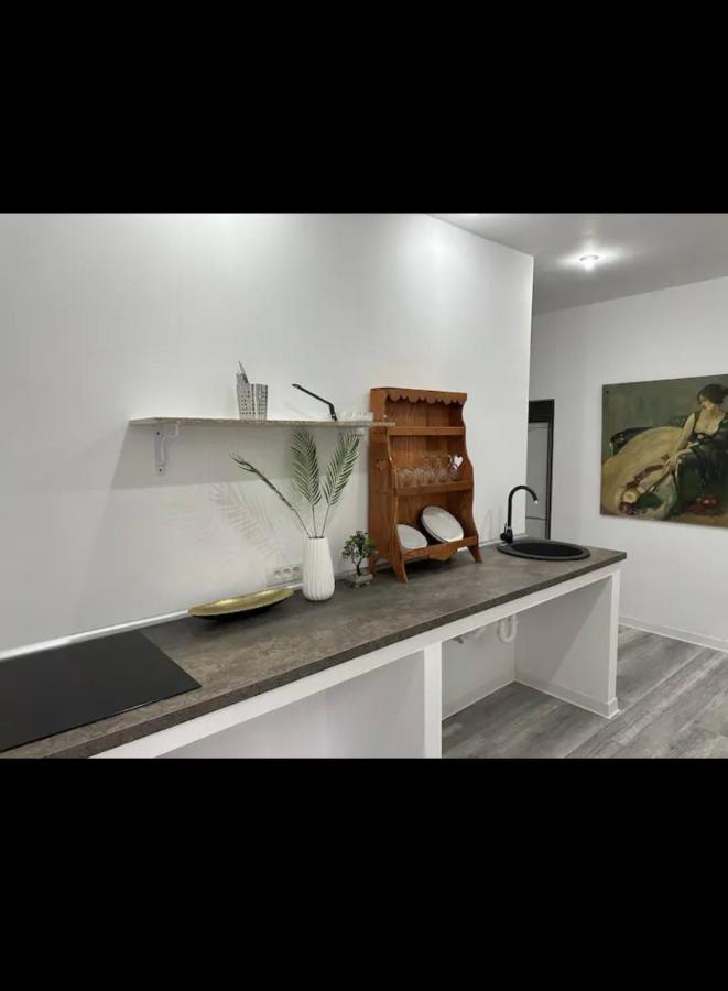 Piata Libertatii Apartament 1 Room Timişoara Exteriör bild